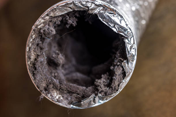 Best Air Duct Cleaning Company Near Me  in Otis Orchards East Farms, WA